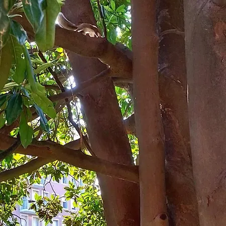 San Siro Arty And Cute - Con Bagno Privato *